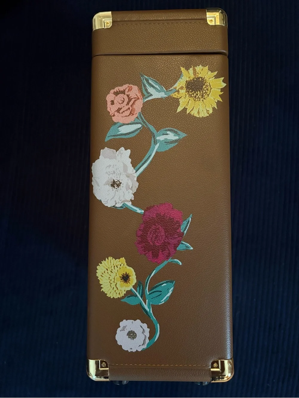 Taylor Swift Acoustic Piano Vinyl Case